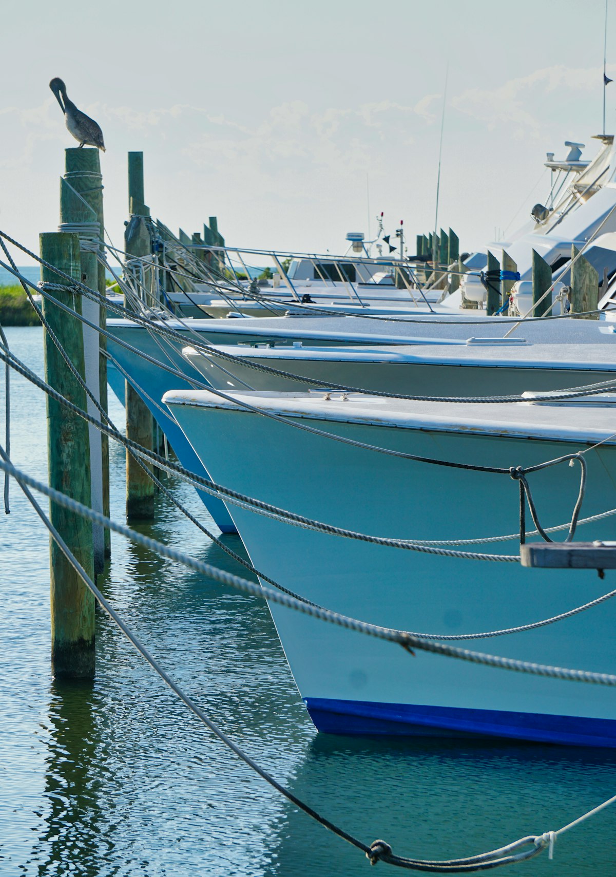 Boats lined up at the dock
